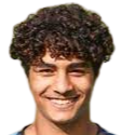 https://img.jieerjian.com/img/football/player/1e4ec0f87ec12d1a57199197bb193cf8.png